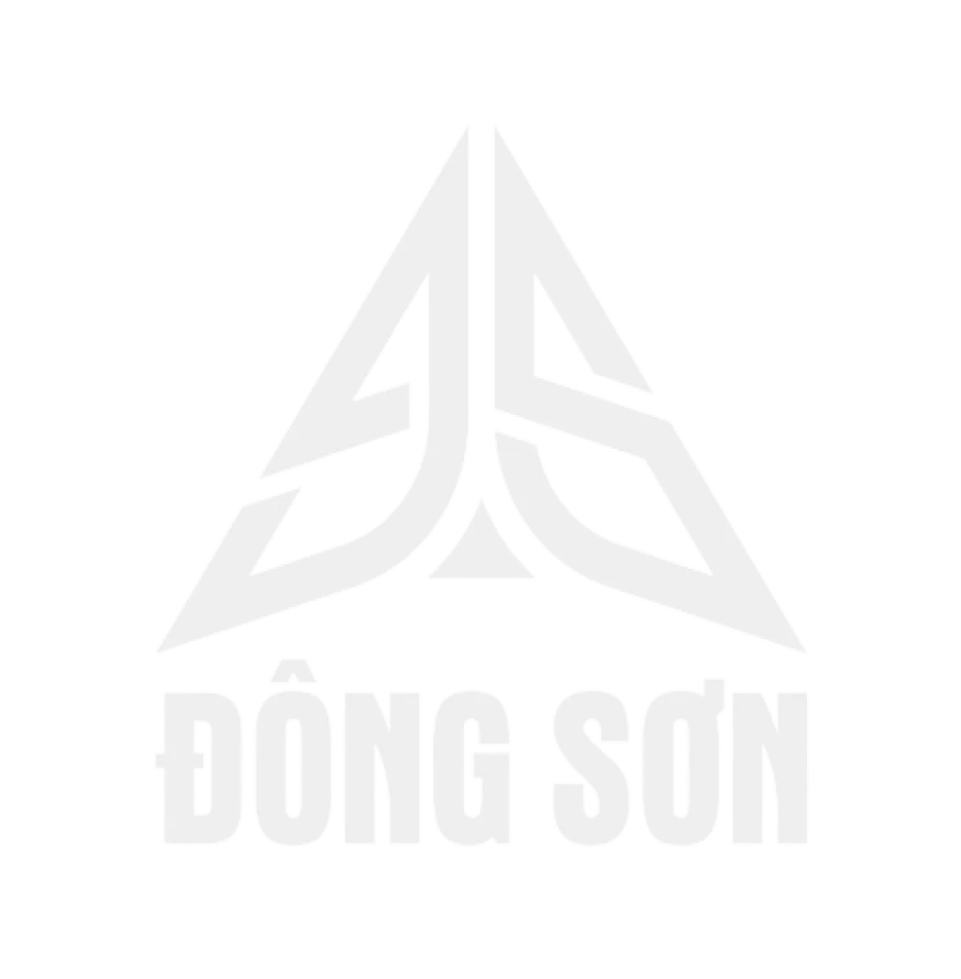 Biểu tượng Đông Sơn Holdings